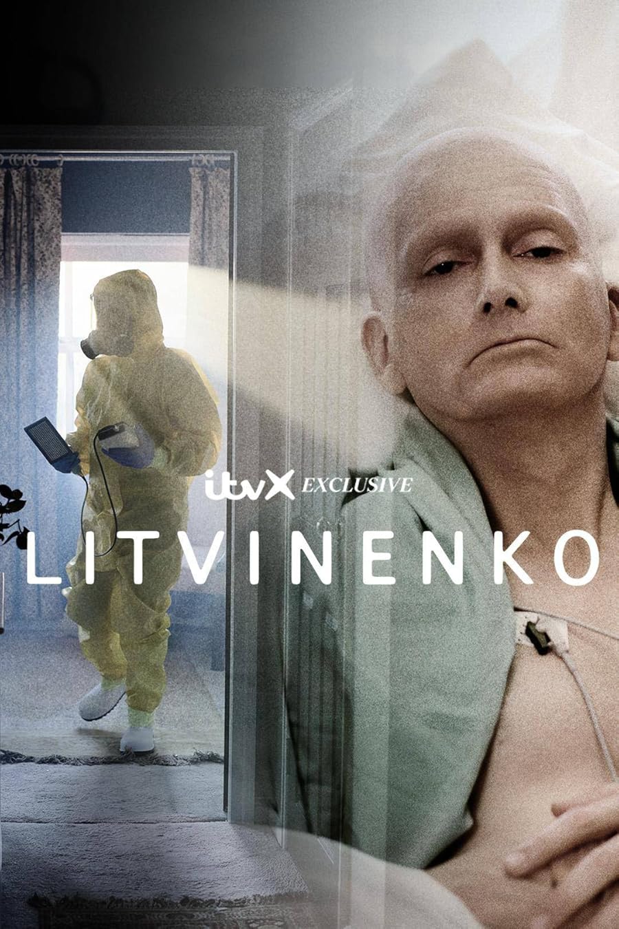 Litvinenko Poster
