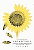 Primary photo for Sunflower Primary photo for Sunflower