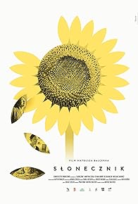 Primary photo for Sunflower