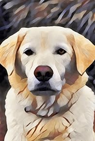 Primary photo for Baby skunk was found without mom. This woman adopted him.