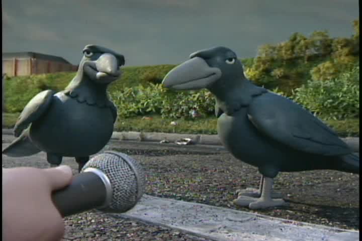 Creature Comforts Tv Series 2003 Imdb