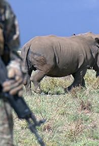 Primary photo for Friendly Fire/The Rhino Crisis Primary photo for Friendly Fire/The Rhino Crisis