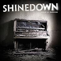 Primary photo for Shinedown: Sound of Madness