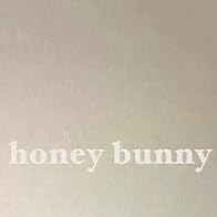 Primary photo for Vincent Gallo: Honey Bunny