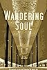 Primary photo for Wandering Soul