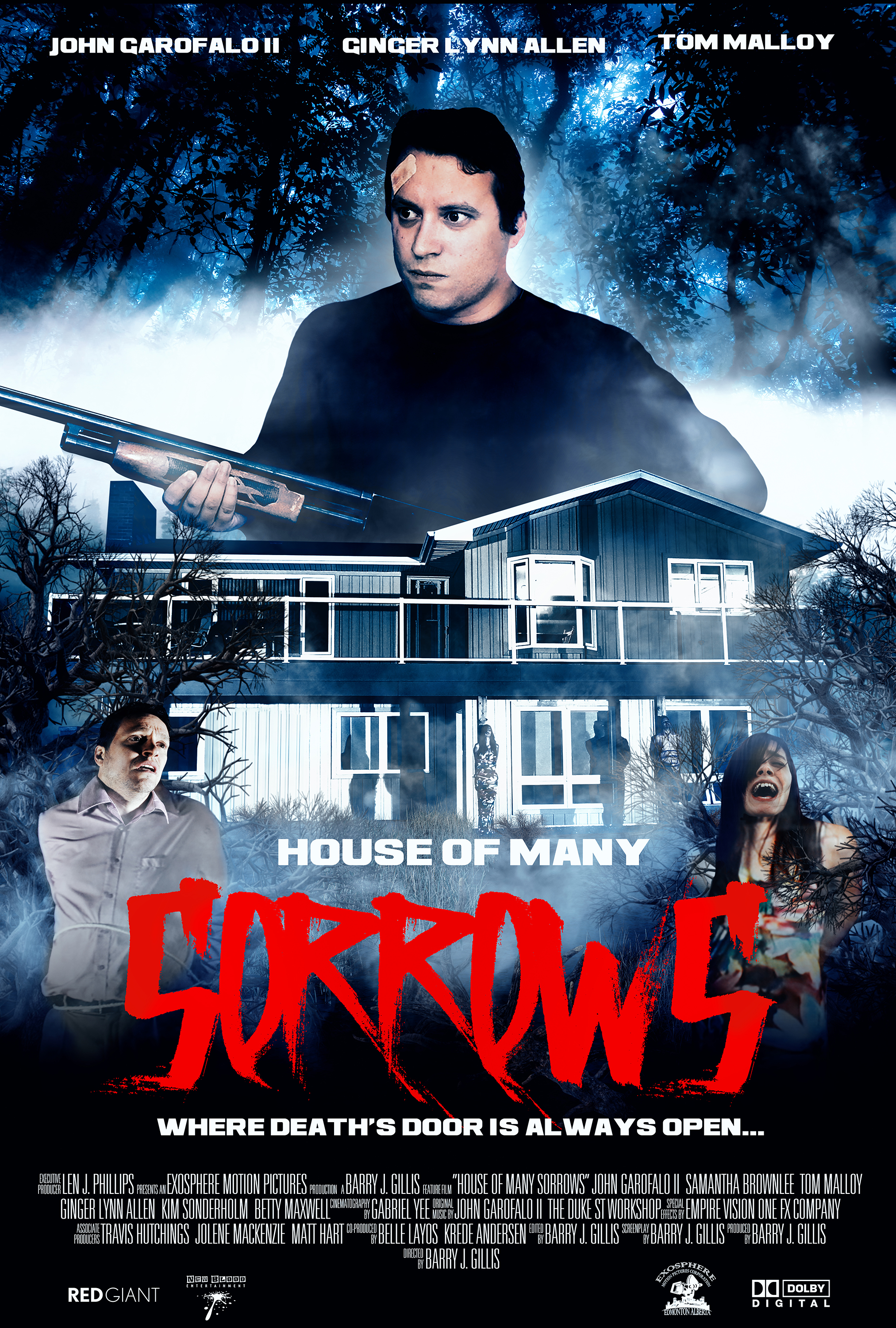 Poster of House of Many Sorrows