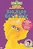 Primary photo for Big Bird Gets Lost Primary photo for Big Bird Gets Lost