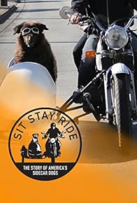 Primary photo for Sit Stay Ride: The Story of America's Sidecar Dogs Primary photo for Sit Stay Ride: The Story of America's Sidecar Dogs