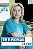 Primary photo for The Royal Today Primary photo for The Royal Today