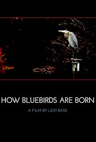 Primary photo for How Bluebirds Are Born Primary photo for How Bluebirds Are Born