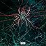 Primary photo for JuDior: Spider Primary photo for JuDior: Spider