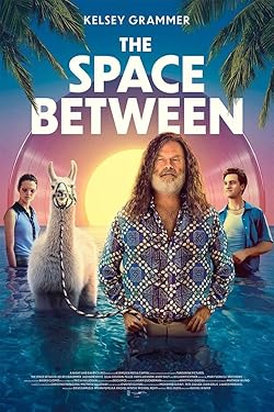 Poster of The Space Between