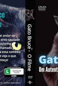 Primary photo for Gato Bruce - O Filme