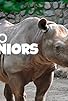 Primary photo for Zoo Juniors