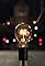 Apple: Bulbs's primary photo