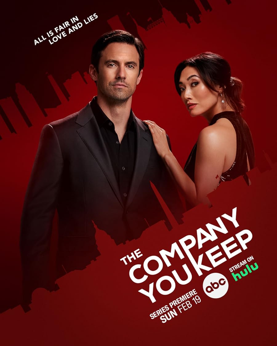 The Company You Keep Poster