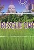 Primary photo for The Rescue Show Primary photo for The Rescue Show