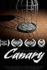 Primary photo for Canary Primary photo for Canary