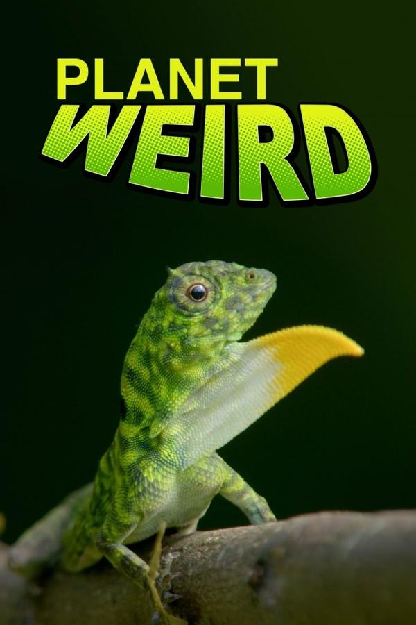 Planet Weird (TV Series 2024–2025) - IMDb