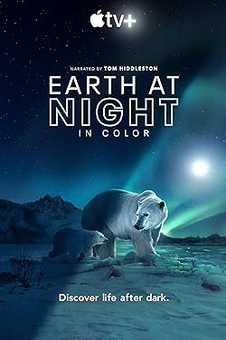 Poster of Earth At Night In Color