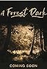 Primary photo for A Forest Dark Primary photo for A Forest Dark