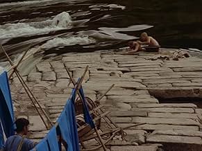 पोस्टर देखें