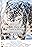 Living with Snow Leopards: Tashi's Story