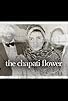 Primary photo for The Chapati Flower Primary photo for The Chapati Flower