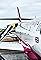 How to Start an Airline's primary photo