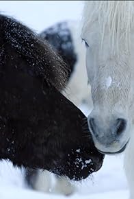 Primary photo for Island - Die ungezähmte Vulkaninsel