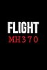Primary photo for Flight MH370 Primary photo for Flight MH370