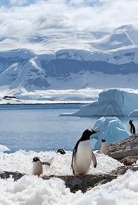 Primary photo for 1. Antartide