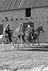 Primary photo for Lawmen, Outlaws and Gunsmoke Primary photo for Lawmen, Outlaws and Gunsmoke