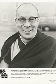 Primary photo for Dalai Lama: The Soul of Tibet