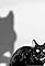 Tales of the Black Cat's primary photo