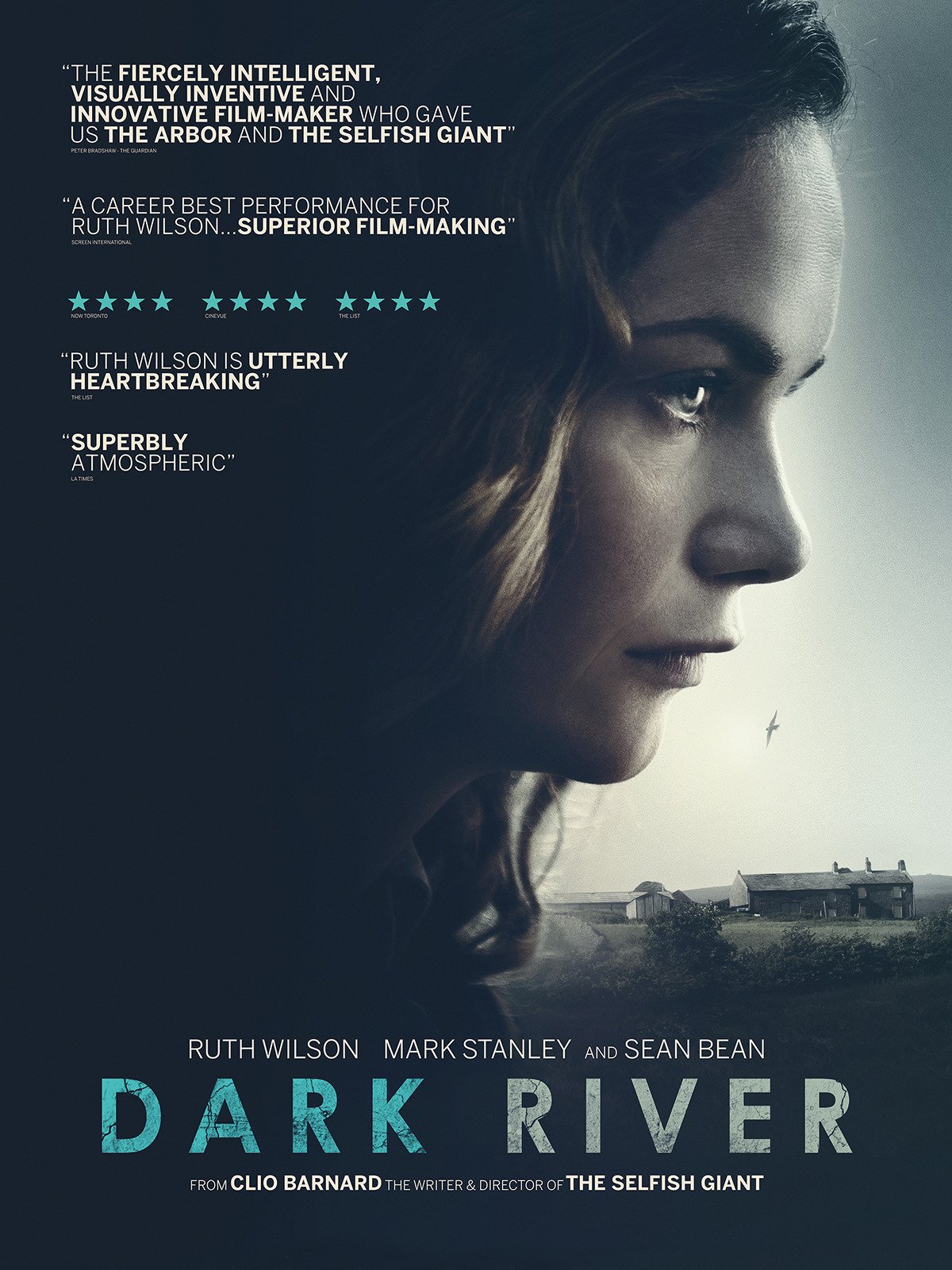 Poster of Dark River