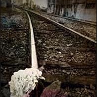 Primary photo for Ruby Friedman: Journey on A Bullet (feat. Gentlemen Alchemists)