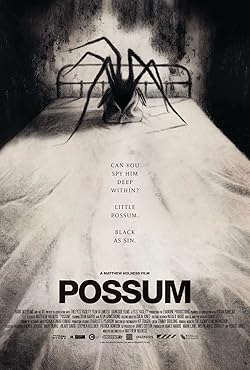 Poster of Possum