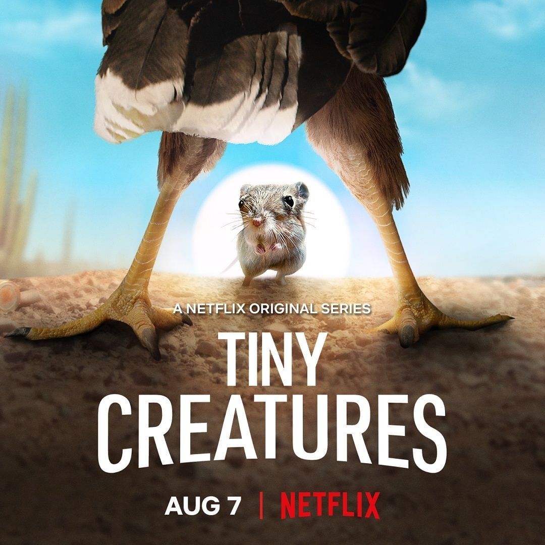 Poster of Tiny Creatures
