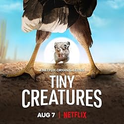 Poster of Tiny Creatures