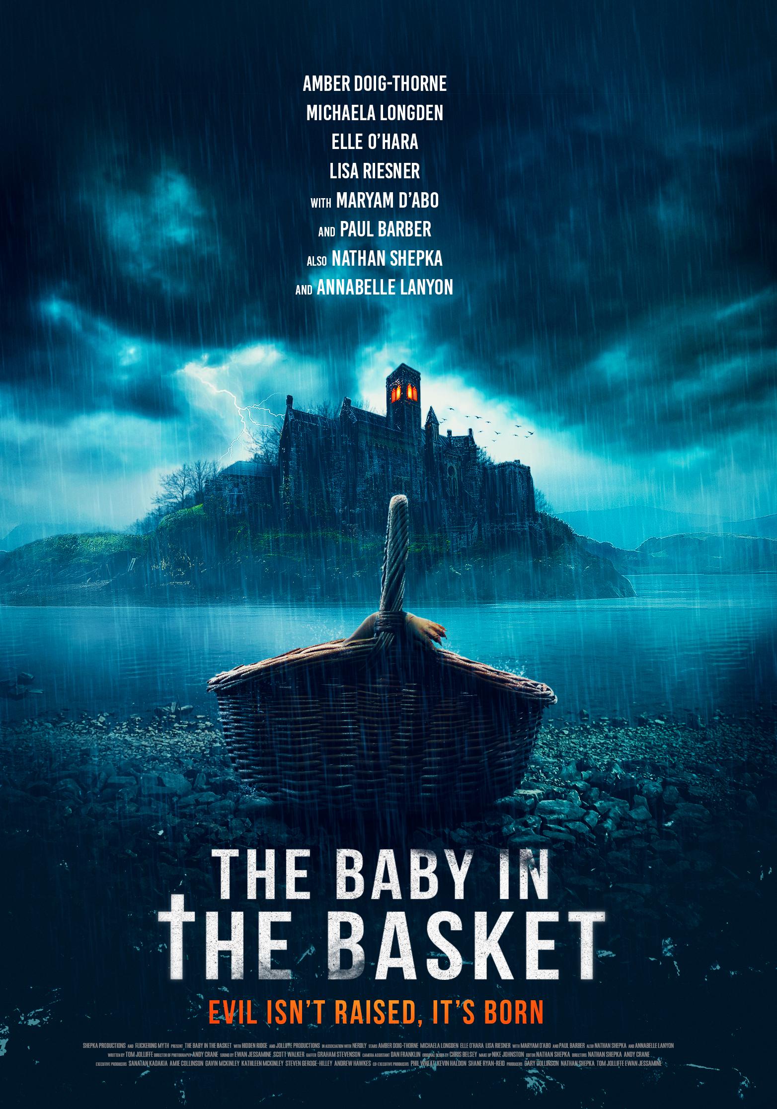 Poster of The Baby in the Basket