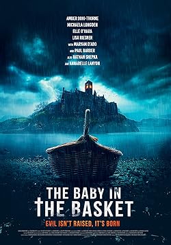Poster of The Baby in the Basket