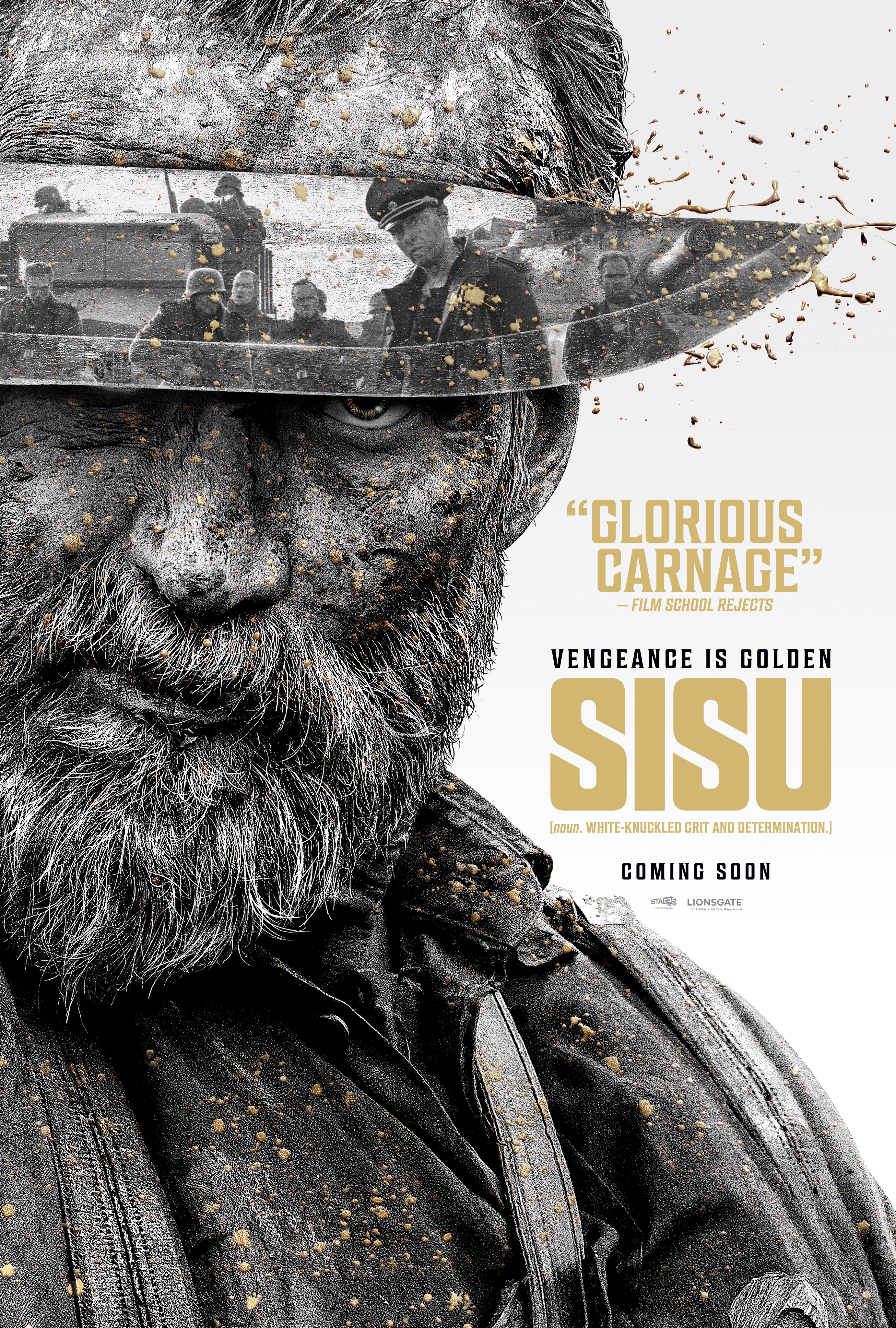 Poster of Sisu
