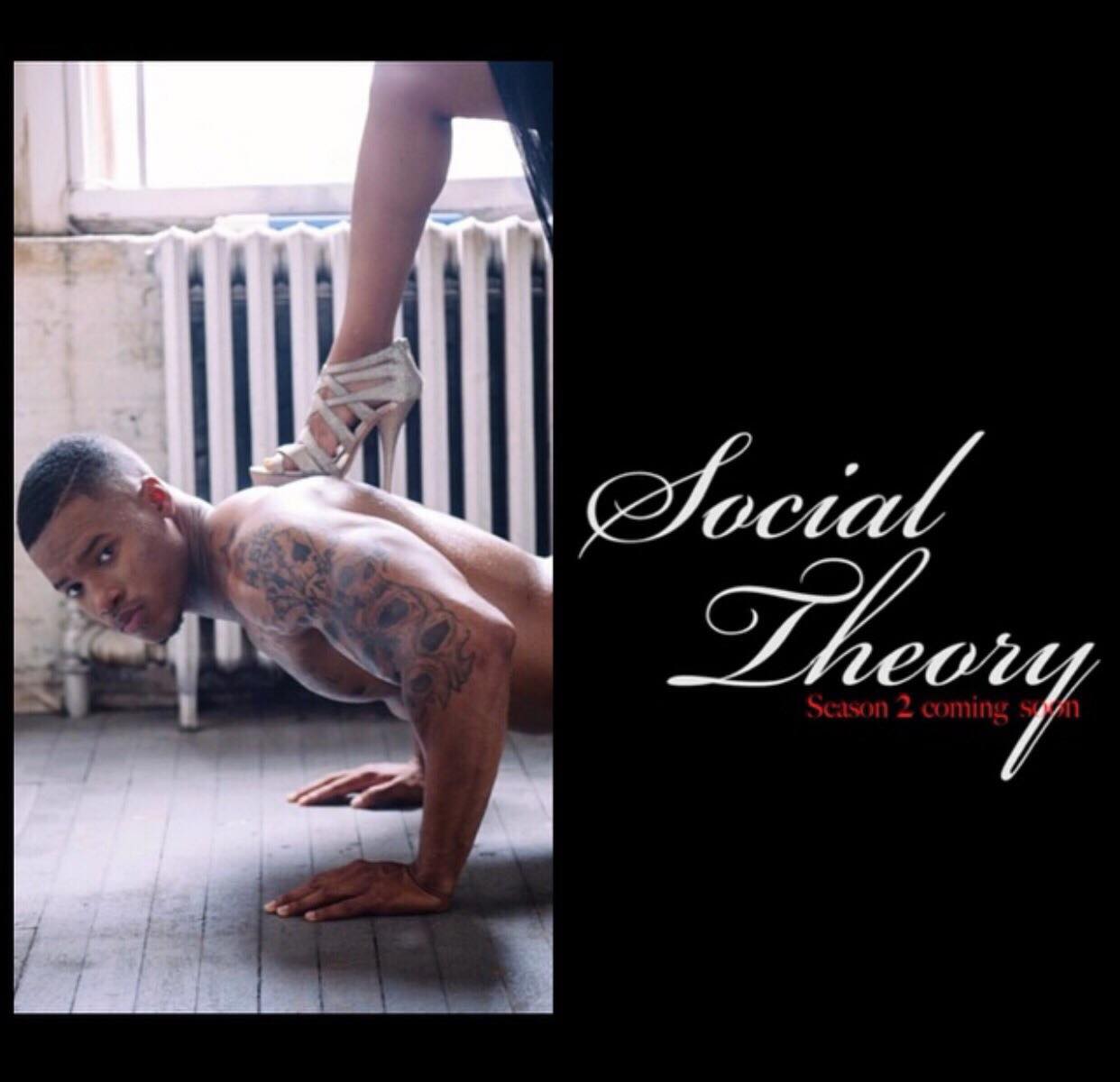 Social Theory: Web-Series