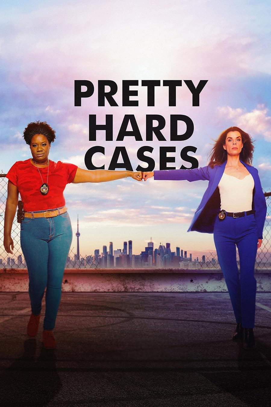Pretty Hard Cases Poster
