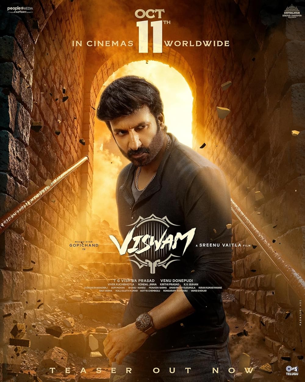 Viswam (2024) [Telugu-ESUB]