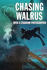 Primary photo for Chasing Walrus (With A Stubborn Photographer)