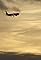 The Man Who Fell from the Sky's primary photo