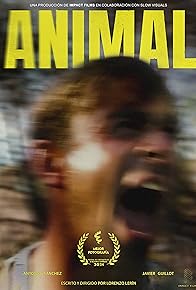 Primary photo for Animal