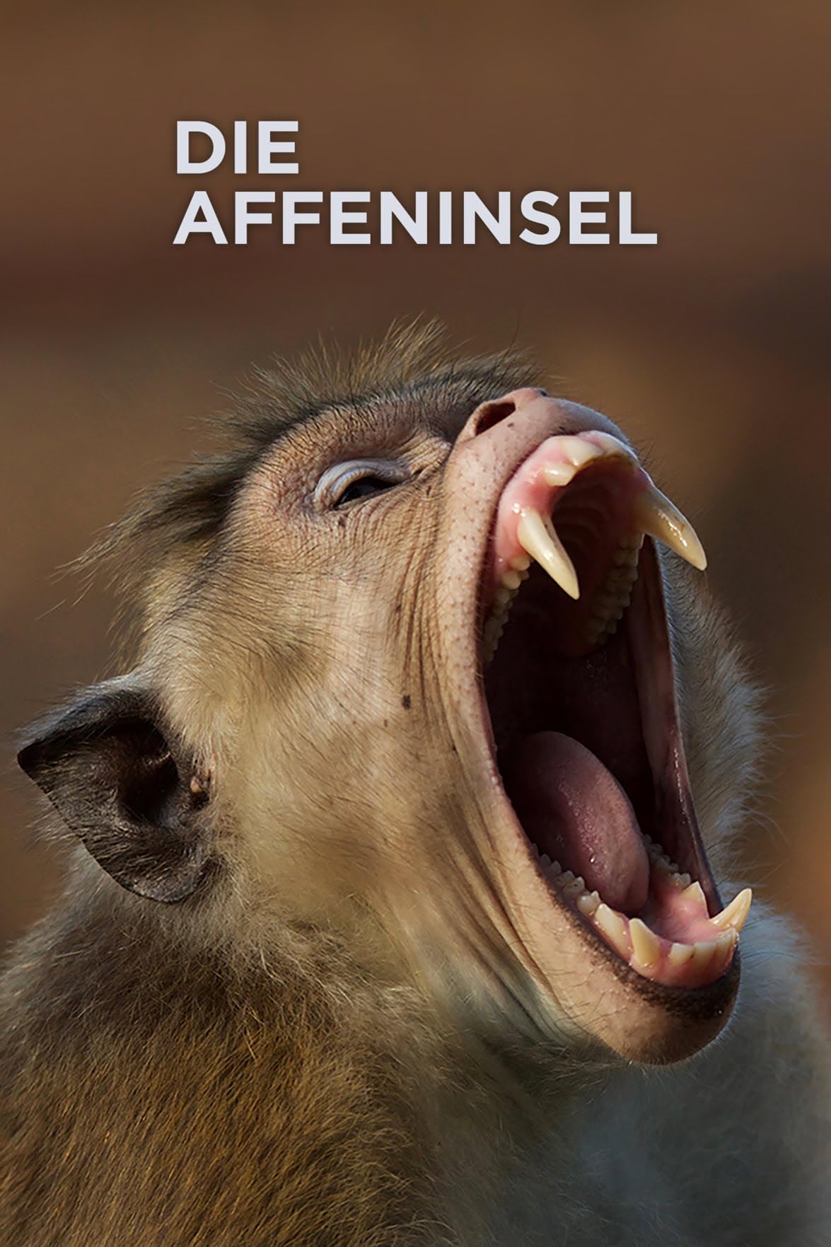 Остров обезьян (2018)